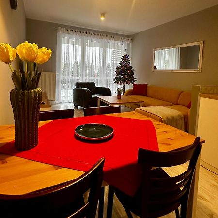 Apartament Z Widokiem Na Szyndzielnie 别尔斯克-比亚拉 外观 照片