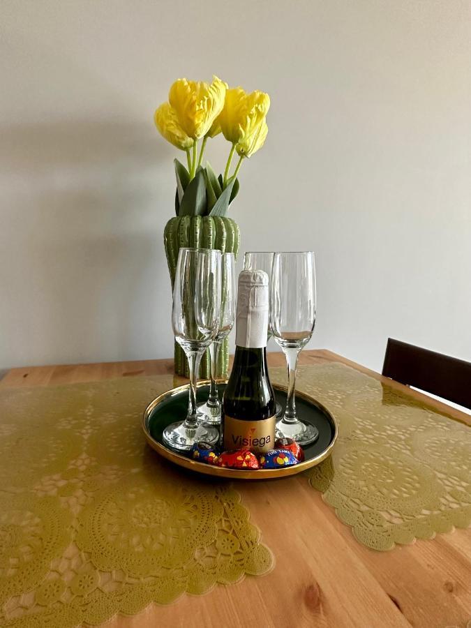 Apartament Z Widokiem Na Szyndzielnie 别尔斯克-比亚拉 外观 照片